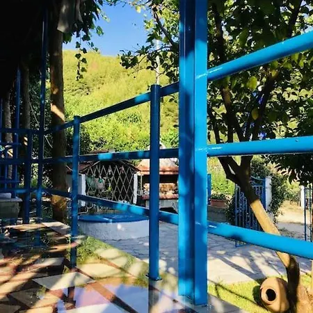 Irene's House, House In The Nature