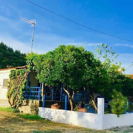 Irene's House, House In The Nature * Porto Koufo