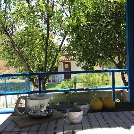 Irene's House, House In The Nature *